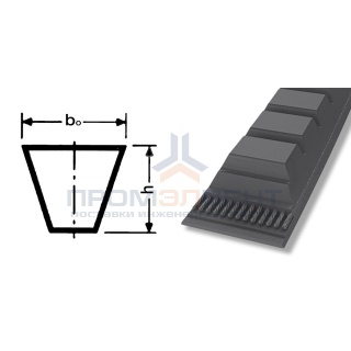 ремень xpa 2432