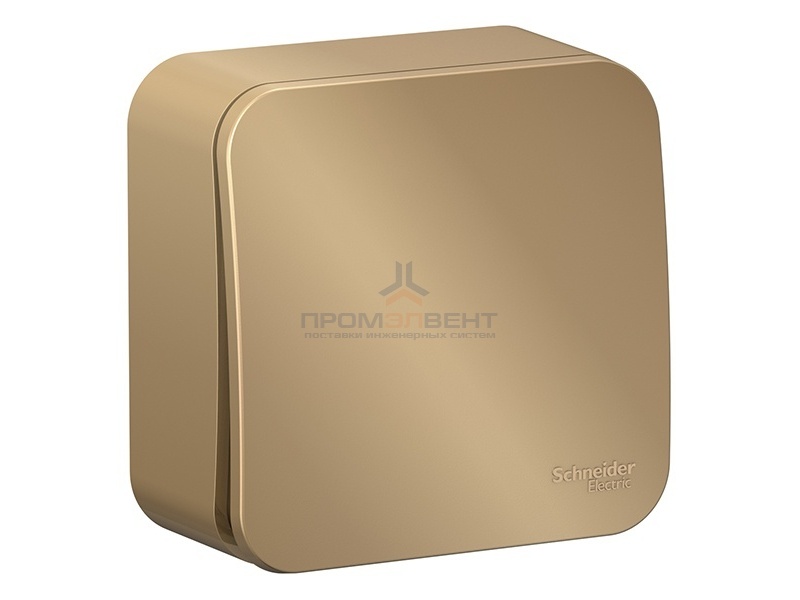 Переключатель 1-клавишный (cх.6) Blanca Schneider Electric 10А 250В титан изол.пластина